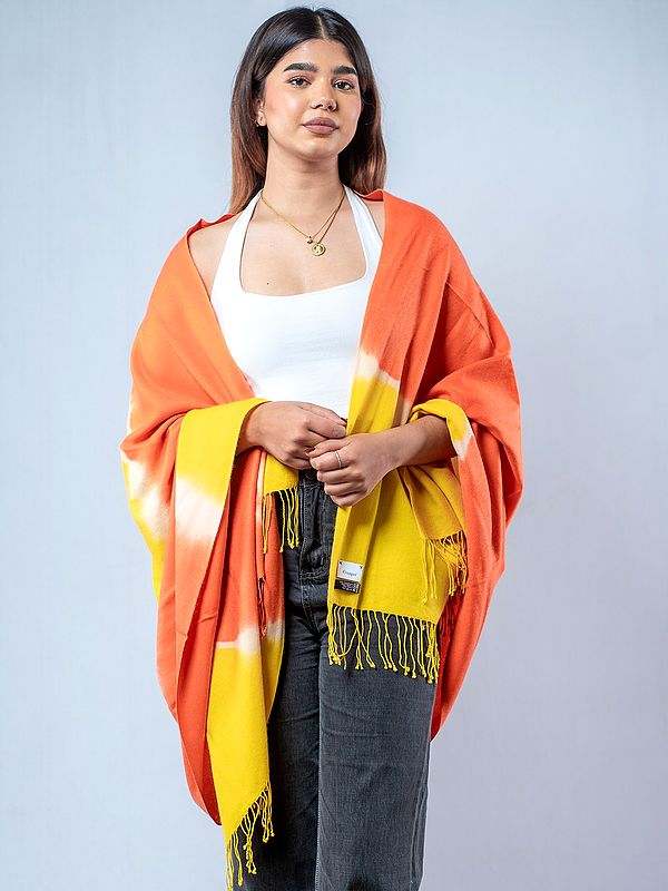 Multicolor Pashmina Silk Shaded Shawl from Nepal with String Tassels