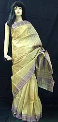 Tussar Silk Sari