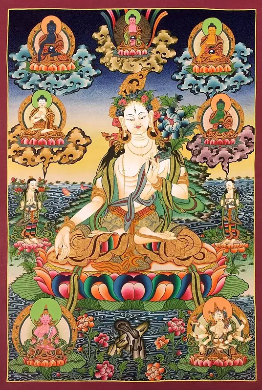 White Tara with Five Buddhas Thangka (Brocadeless Thangka)