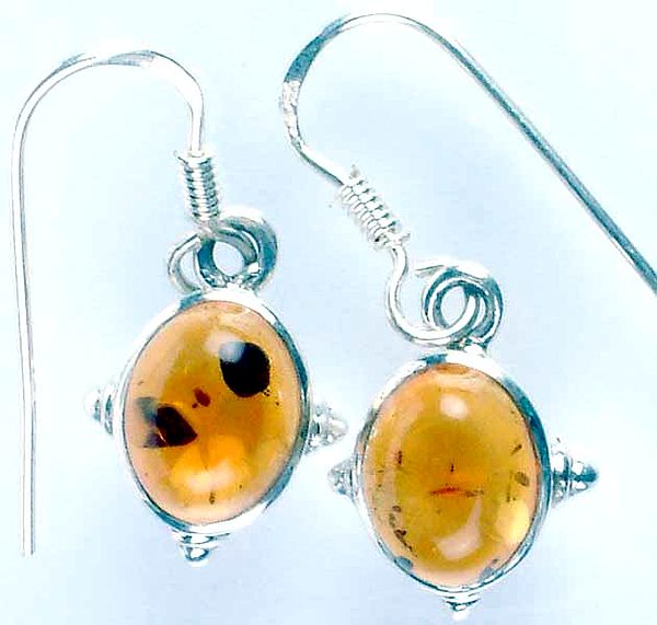 Amber Earrings