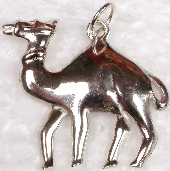 Camel