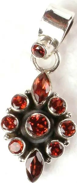 Garnet Glory