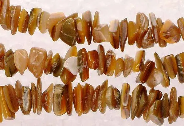 Shell Chips
