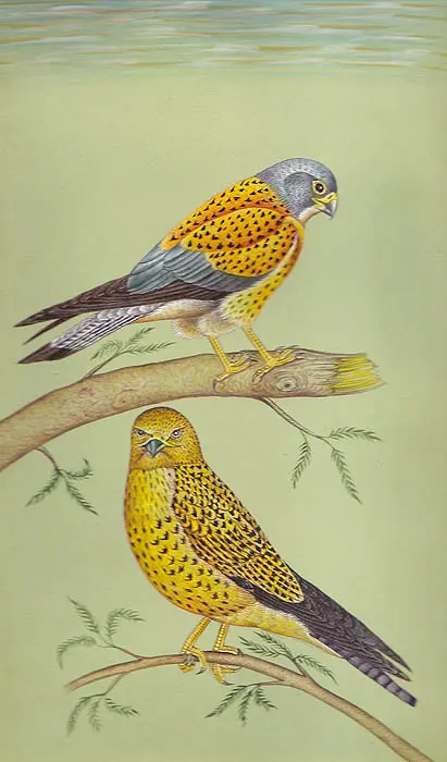 Pair of Eagles