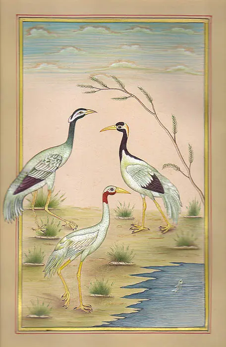Storks