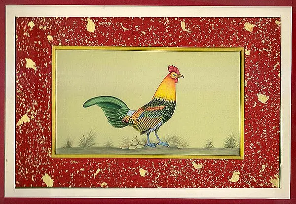 Portrait of a Cock