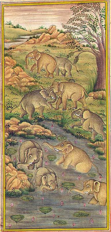 Elephants in a Lotus Pond