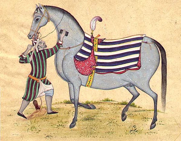 Horse with Trainer