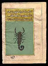 Scorpion