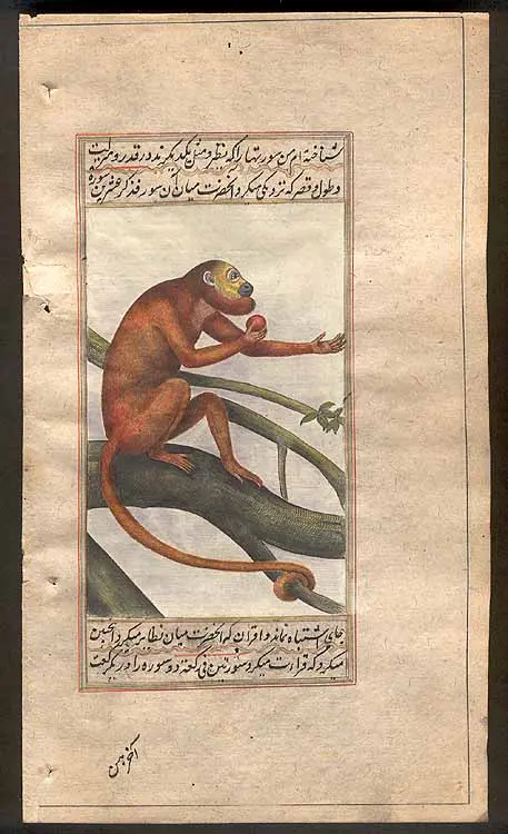 Simian