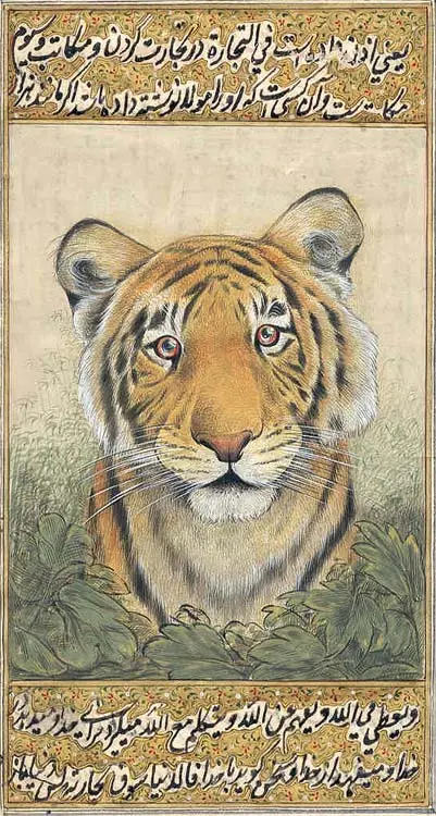Tiger