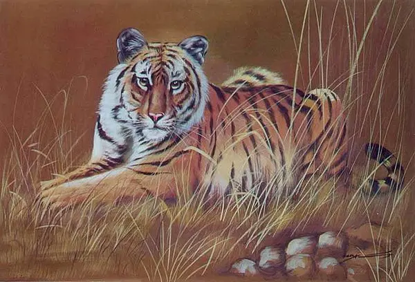 Tiger