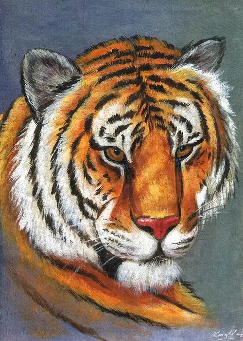 Tiger Face