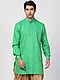 Parrot Green