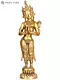 Polish Brass