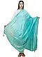 Biscay Green