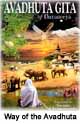 Way of the Avadhuta, The Phase of Ultimate Detachment Way of the Avadhuta, The Phase of Ultimate Detachment