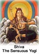 The Dance of Shiva The Dance of Shiva