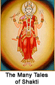 From Heaven to Household: The Many Tales of Shakti From Heaven to Household: The Many Tales of Shakti