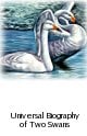 Lost and Found: The Universal Biography of Two Swans Lost and Found: The Universal Biography of Two Swans
