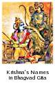 The Poetics of Pretext - Krishna's Names in the Bhagavad Gita The Poetics of Pretext - Krishna's Names in the Bhagavad Gita