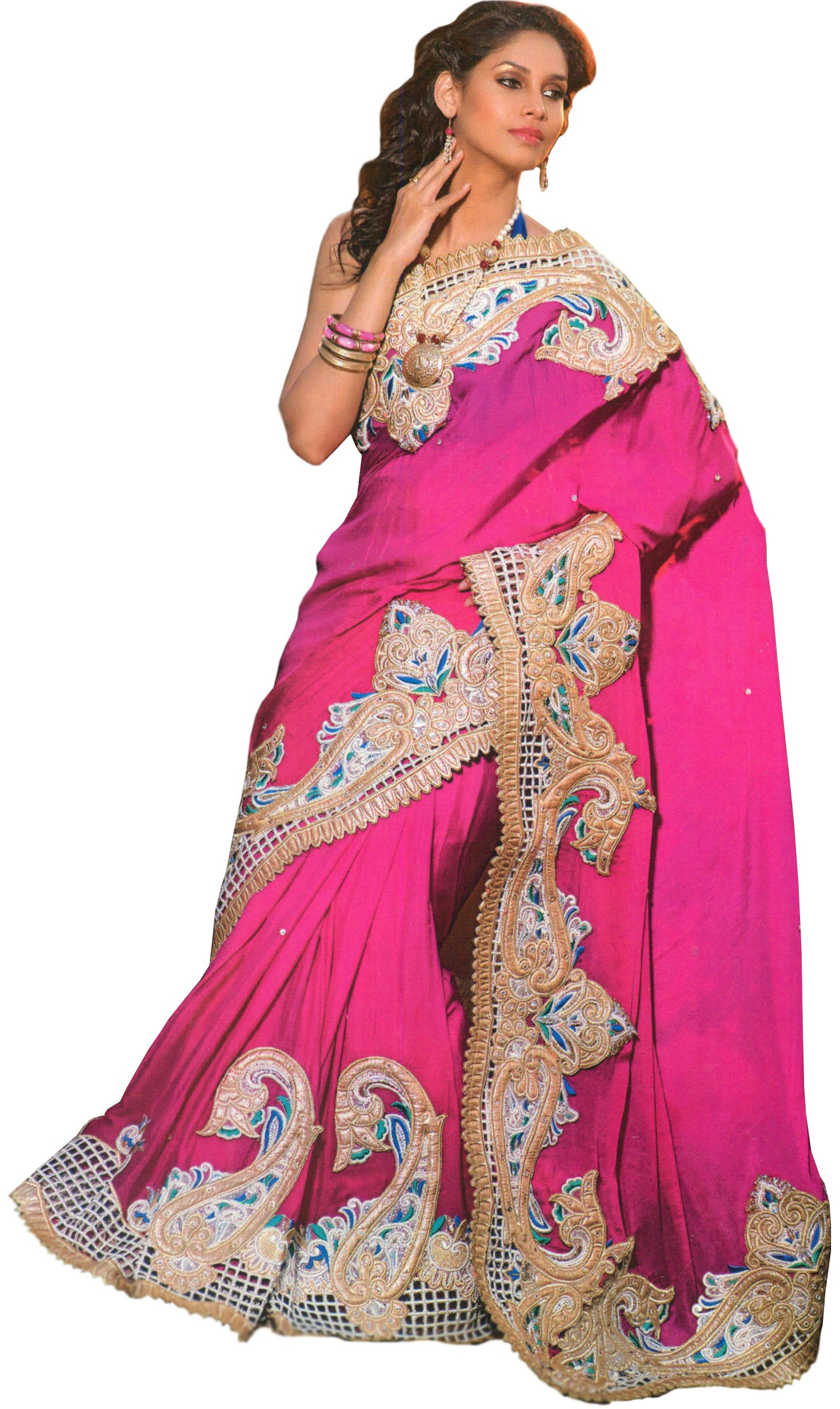 Sangria Designer Wedding Sari  with Large Paisleys Border 