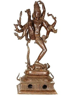 Shiva's Cosmic Dance